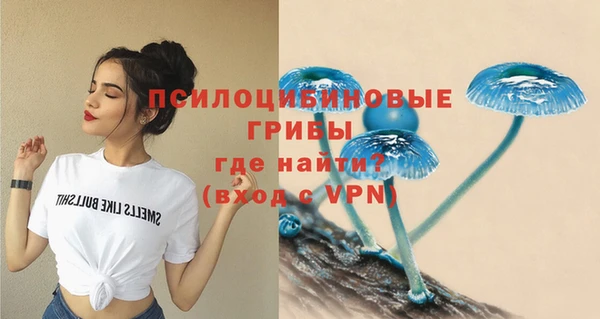 прущие крисы Алексеевка