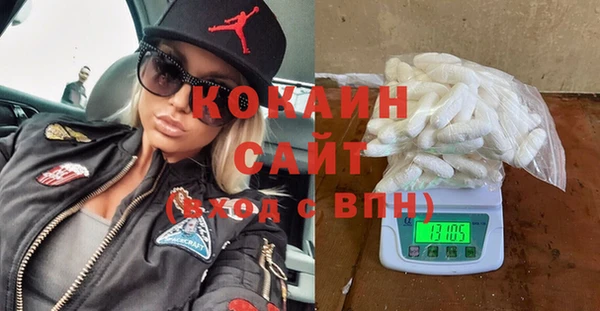 тгк Алзамай