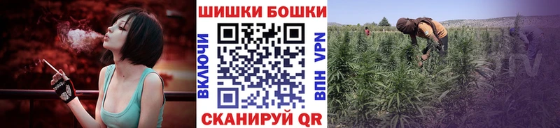 продажа наркотиков Сосновка Шишки марихуана Amnesia